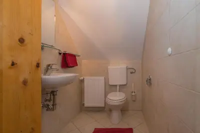 a small bathroom with a toilet and a sink at Koritnica Apartments in Bovec