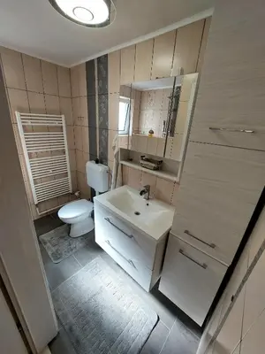 a bathroom with a white sink and a toilet at Apartments Karin in Bled
