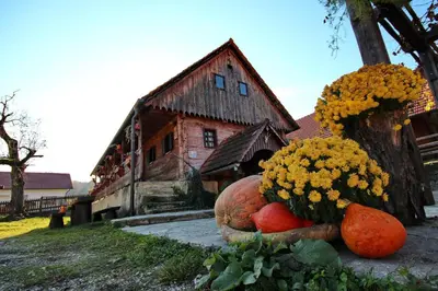 a display of pumpkins and flowers in front of a building at Tourist Farm Pri Martinovih in Krška Vas
