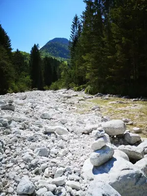 a group of rocks sitting on a rocky road at Apartma Lucijana in Mojstrana