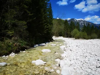 a river with rocks and trees on a mountain at Apartma Lucijana in Mojstrana