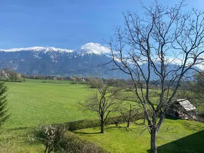 a green field with snow covered mountains in the background at Stay Apartments Bled in Bled