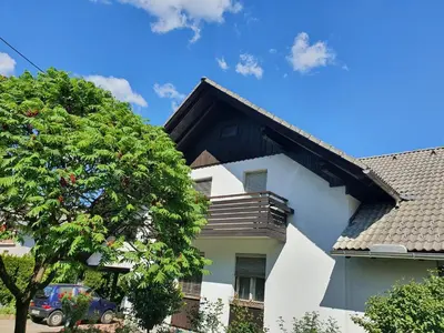 a white house with a tree in front of it at Apartma Take It Easy in Bled