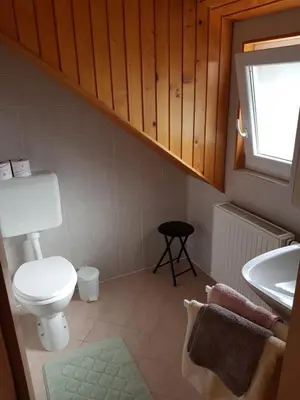 a bathroom with a toilet and a sink at Apartma Take It Easy in Bled