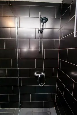 a bathroom with a shower with black tiles at Apartment Dolce Vita in Celje