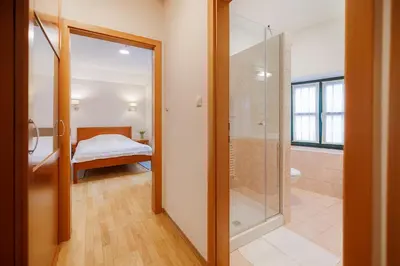 a bathroom with a glass shower and a bedroom at Pri Žabarju Bed & Breakfast Ljubljana in Ljubljana
