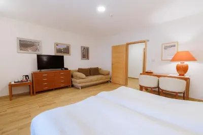 a bedroom with a bed and a tv and a couch at Pri Žabarju Bed & Breakfast Ljubljana in Ljubljana
