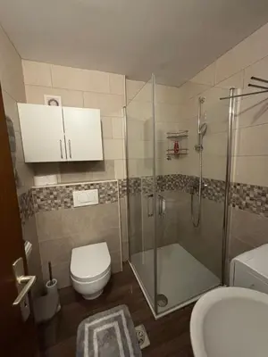 a bathroom with a shower and a toilet and a sink at Apartman Veriga in Kranjska Gora