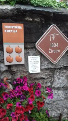 a stone wall with signs and flowers on it at Apartmaji pri Živcovih in Dutovlje
