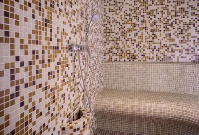 a shower in a tiled bathroom with a toilet at Alpine Homestead in Goreljek