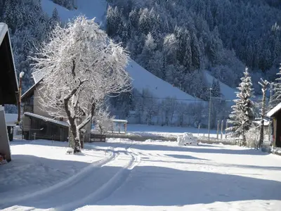 a snow covered yard with a tree and a house at Apartments Pr'Krštano in Kranjska Gora