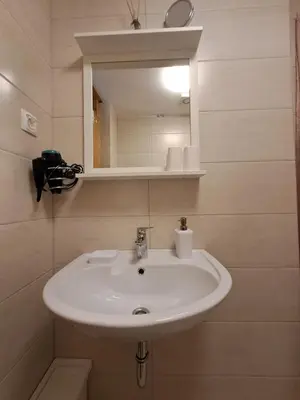 a bathroom with a white sink and a mirror at Apartments Pr'Krštano in Kranjska Gora
