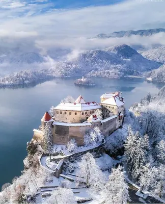 a castle in the middle of a lake in the snow at STATUS Apartments in Bled