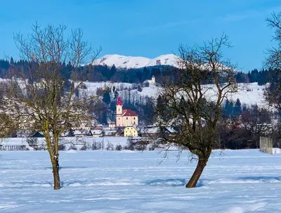 two trees in a snow covered field with a church at STATUS Apartments in Bled