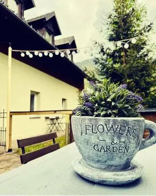 a cup with a plant in it sitting on a table at Apartments Podkoren 82 in Kranjska Gora