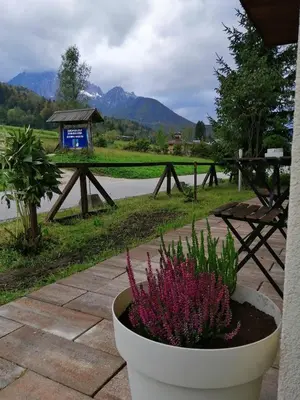 a pot of flowers sitting on a patio with a picnic table at Apartments Podkoren 82 in Kranjska Gora