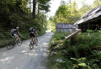 two people riding bikes down a dirt road at Studio Jan in Zgornje Gorje