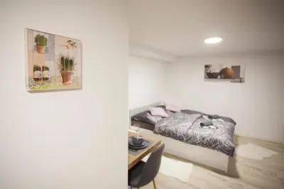 a bedroom with a bed and a desk in it at Studio Jan in Zgornje Gorje
