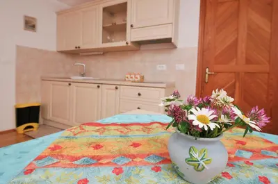 a vase filled with flowers sitting on top of a table at Apartments Tonkli in Logje