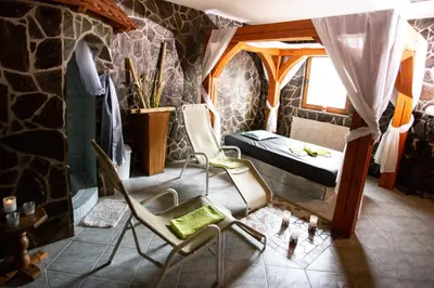 a room with chairs and a bed and a stone wall at Korošec Apartments and Wellness Centre in Mozirje