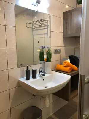 a bathroom with a white sink and a mirror at Korošec Apartments and Wellness Centre in Mozirje