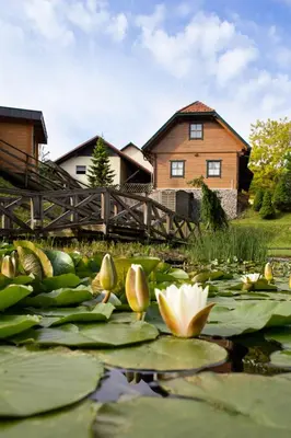 a pond with lilies in front of a house at Korošec Apartments and Wellness Centre in Mozirje