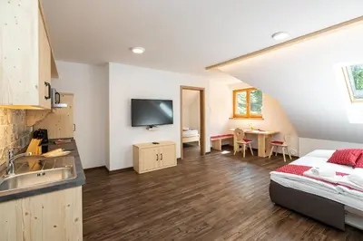 a kitchen and living room with a sink and a bed at Bohinj Apartments Goldhorn Kingdom in Bohinj