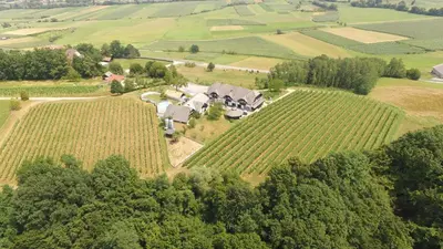 an aerial view of a house in the middle of a field at Villa Istenič in Bizeljsko