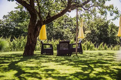 two chairs and umbrellas sitting under a tree at Villa Istenič in Bizeljsko