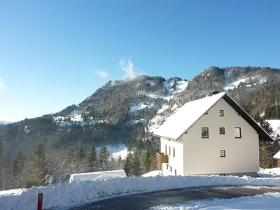 a house in the snow in front of a mountain at Apartments Pri Marjetki in Cerkno