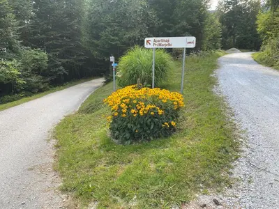 a street sign on the side of a road with flowers at Apartments Pri Marjetki in Cerkno