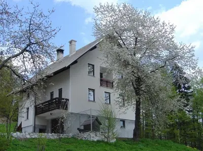 a white house on a hill with trees at Apartments Pri Marjetki in Cerkno