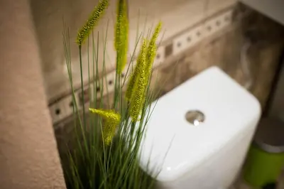 a white sink in a bathroom with green plants at Apartment Jacobs in Bled