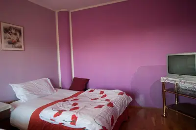 a small bedroom with a bed and a tv at Guest House Čelan in Spodnja Hajdina