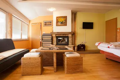 a living room with a couch and a fireplace at Guest House Čelan in Spodnja Hajdina
