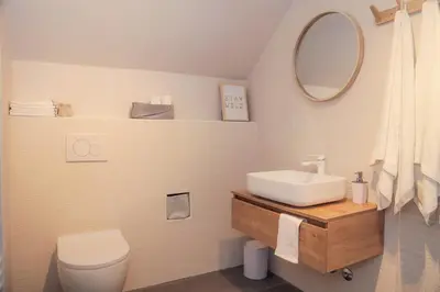 a bathroom with a sink and a toilet and a mirror at Apartments Alteri Domi in Bohinj