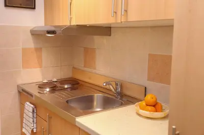 a kitchen with a sink and a bowl of oranges at Apartments Alteri Domi in Bohinj