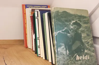 a row of books sitting on a shelf at Apartments Alteri Domi in Bohinj