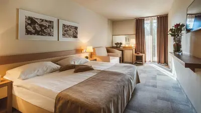 a bedroom with a large bed in a room at Terme Olimia - Hotel Breza in Podčetrtek