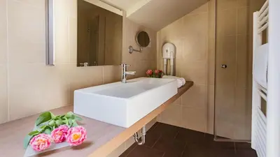a bathroom with a white sink and a mirror at Terme Olimia - Hotel Breza in Podčetrtek