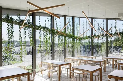 a restaurant with tables and chairs and windows at Terme Olimia - Hotel Breza in Podčetrtek