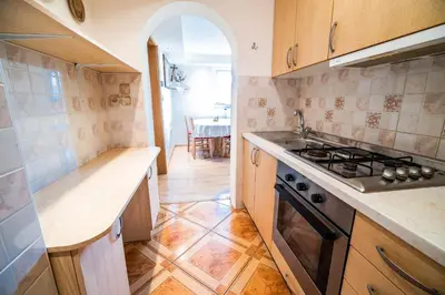 a kitchen with a stove and a sink at Farm Stay Ana in Višnja Gora