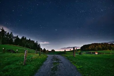 a road in a field at night with a starry sky at Farm Stay Ana in Višnja Gora