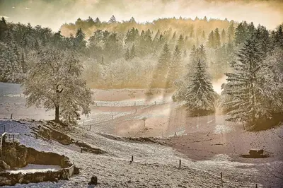 a snow covered field with trees in the background at Luxury Apartment Ana with Hot tub in Višnja Gora