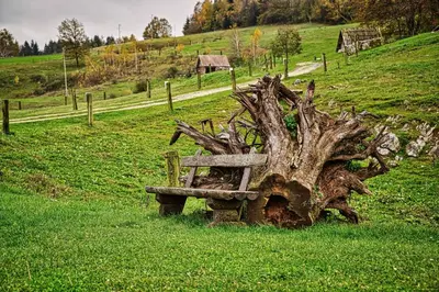 a tree stump with a bench in a field at Luxury Apartment Ana with Hot tub in Višnja Gora