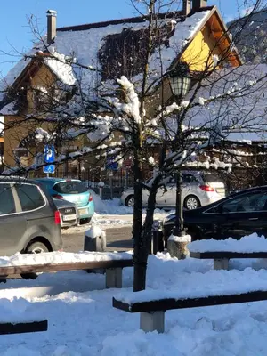a tree is covered in snow next to cars at Apartments ViTa in Kranjska Gora