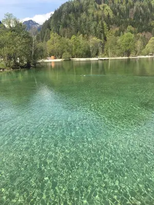 a large body of water with trees in the background at Apartments ViTa in Kranjska Gora