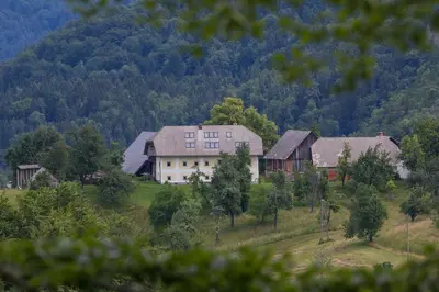 a house in the middle of a field with trees at Apartment Krnicar in Zgornje Gorje