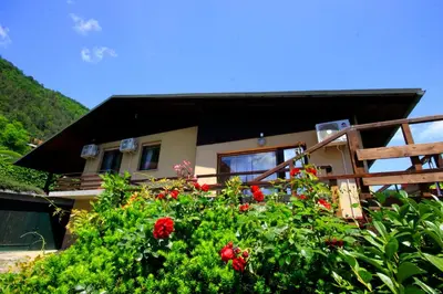 a house with red flowers in front of it at Na Kopitarjevi in Laško