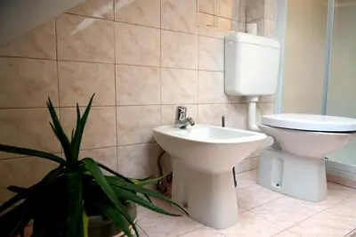 a bathroom with a toilet and a sink and a plant at Apartma Eržen in Zgornje Gorje